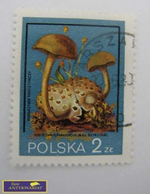 ZNACZEK - Podgrzybek Pasodniczy