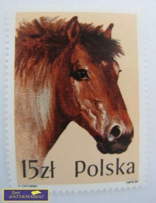 ZNACZEK Polska 15 zł