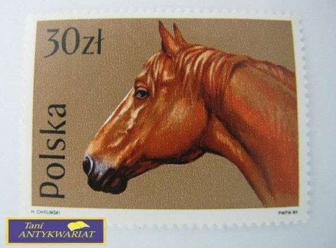 ZNACZEK Polska 30 zł