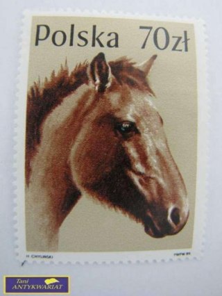 ZNACZEK Polska 70 zł