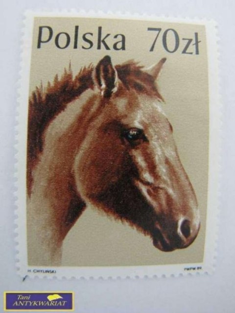 ZNACZEK Polska 70 zł