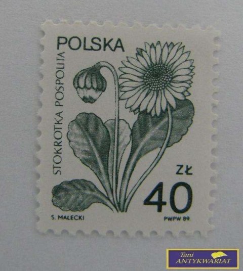 ZNACZEK - Stokrotka Pospolita 89