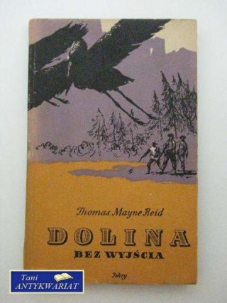 DOLINA BEZ WYJŚCIA