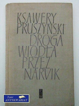 DROGA WIODŁA PRZEZ NARVIK