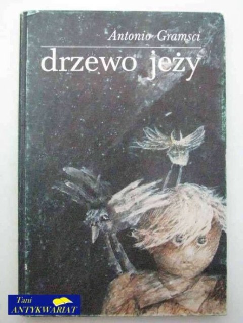 DRZEWO JEŻY