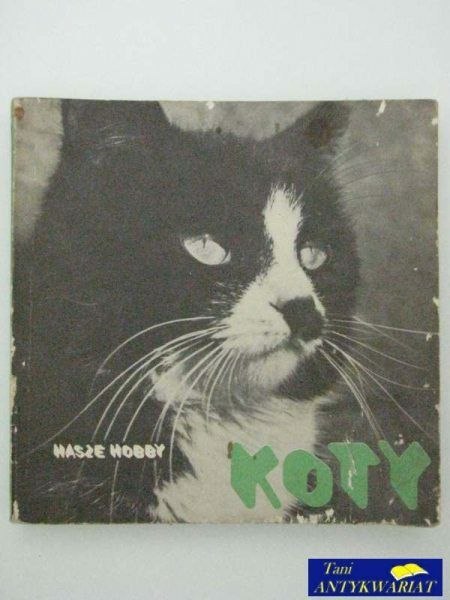 KOTY