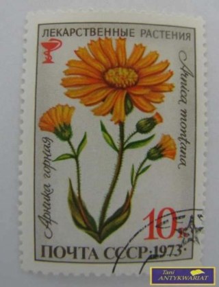 ZNACZEK - ARNIKA GÓRSKA 1973 (ROSYJSKI)