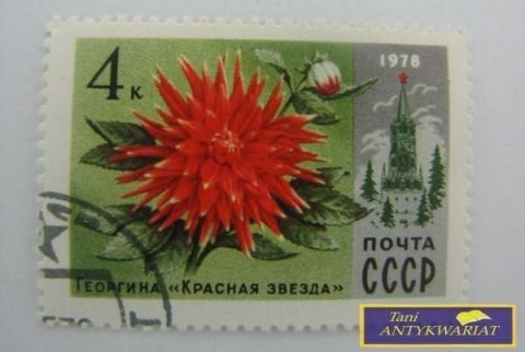 ZNACZEK - DALIA CZERWONA GWIAZDA 1978 R.