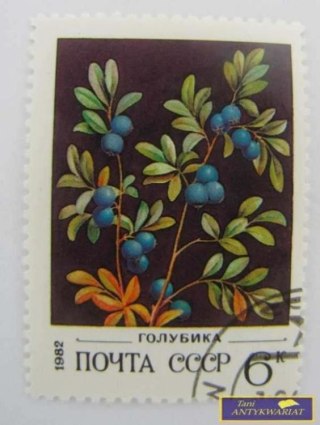 ZNACZEK - JAGODA 1982 R.