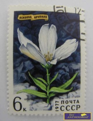 ZNACZEK - JASKIER DUŻY 1977 R.