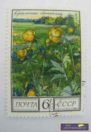 ZNACZEK - KONWALIA EUROPEJSKA 1975 R.