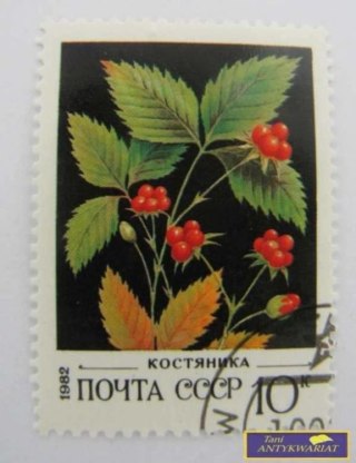 ZNACZEK - KOSTYANIKA 1982 R.