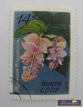 ZNACZEK - MAGINILLA BELLEPNA 1974 R.