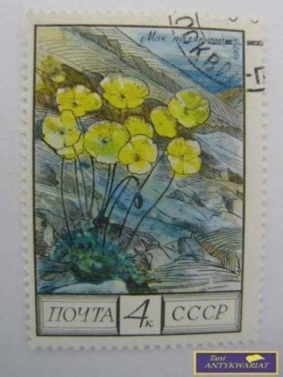 ZNACZEK - MAK POLARNY 1975 R.