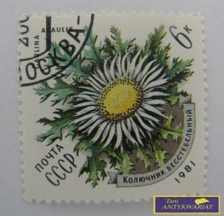 ZNACZEK - OSET POSPOLITY 1981 R.