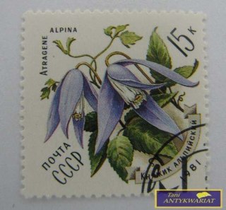 ZNACZEK POCZTOWY - Kniazik Alpejski
