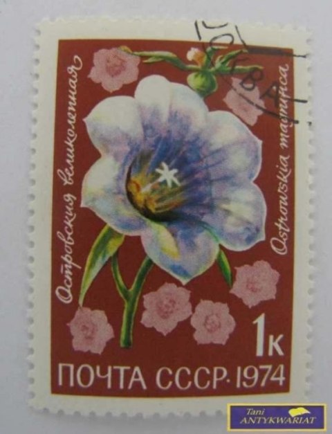 ZNACZEK POCZTOWY - Ostrowska Magrufika