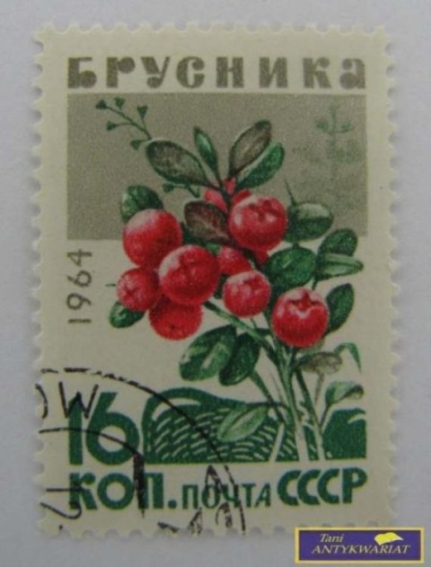 ZNACZEK POCZTOWY - Żurawina
