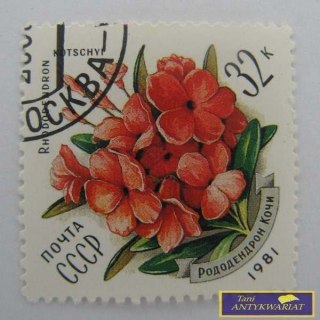 ZNACZEK - RODODENDRON 1981 R.