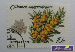 ZNACZEK - ROKITNIK ZWYCZAJNY 1980 R.