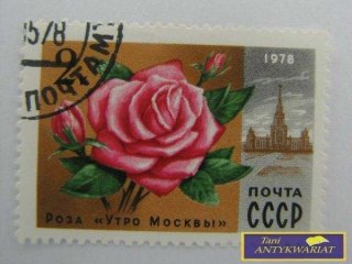 ZNACZEK - RÓŻA PRZYSZŁOŚĆ MOSKWY 1978 R.