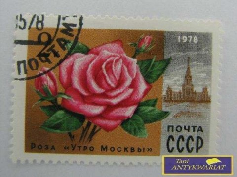 ZNACZEK - RÓŻA PRZYSZŁOŚĆ MOSKWY 1978 R.
