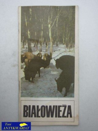 BIAŁOWIEŻA