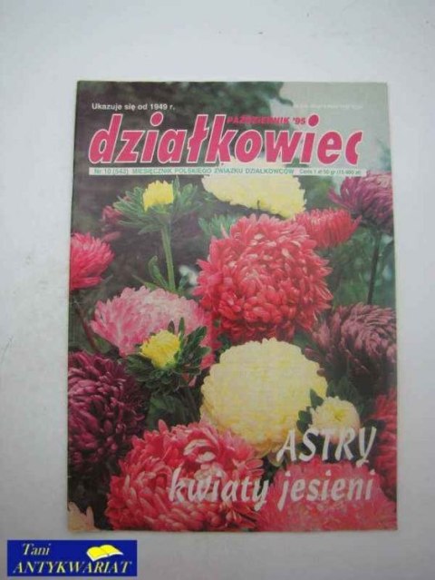 DZIAŁKOWIEC NR 10 (542)