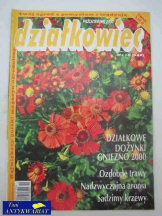DZIAŁKOWIEC NR 10 (602)