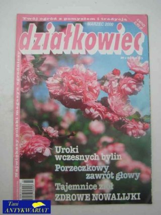 DZIAŁKOWIEC NR 3 (595)