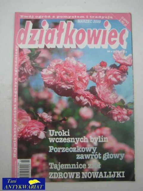 DZIAŁKOWIEC NR 3 (595)