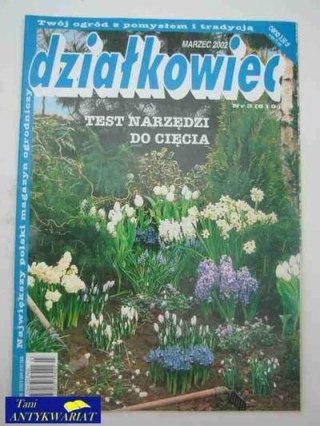 DZIAŁKOWIEC NR 3 (619)