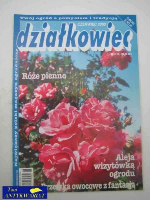 DZIAŁKOWIEC NR 6 (598)