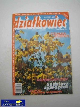 DZIAŁKOWIEC NR 9 (625)