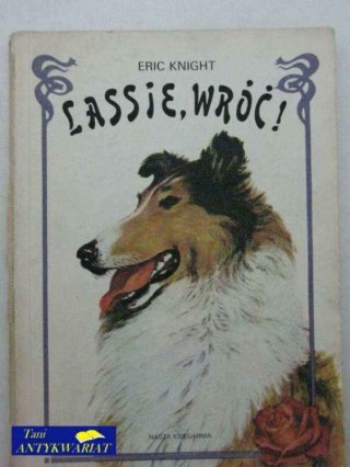 LASSIE WRÓĆ