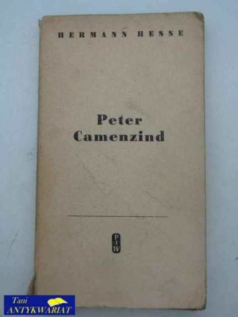 PETER CAMENZIND