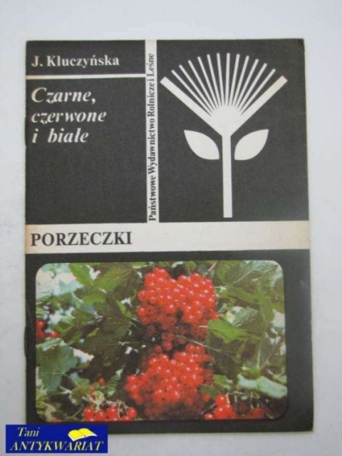 PORZECZKI