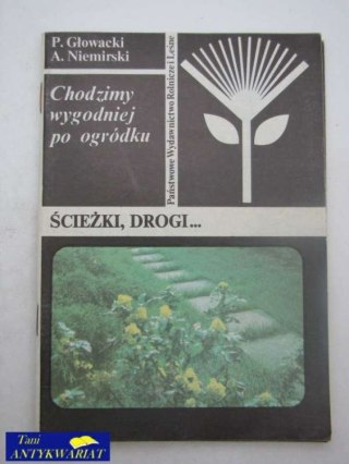 WESOŁE PRZYGODY ROBIN HOODA