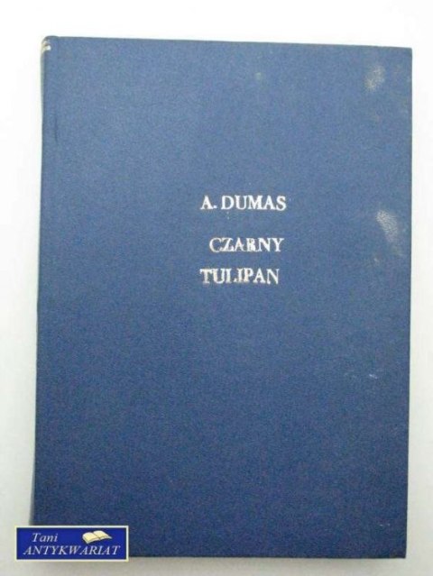 CZARNY TULIPAN