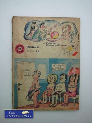 MAGAZYN POLSKI, NR 10/250