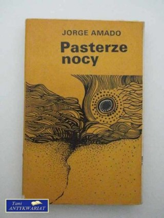 PASTERZE NOCY