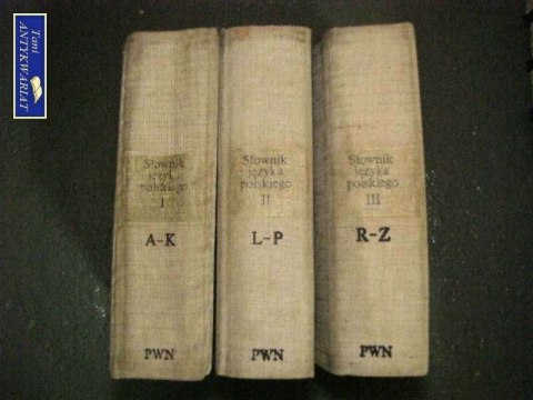 SŁOWNIK JĘZYKA POLSKIEGO 3 TOMY