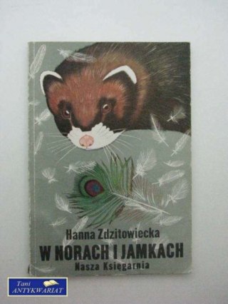 W NORACH I JAMKACH