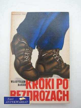 KROKI PO BEZDROŻACH