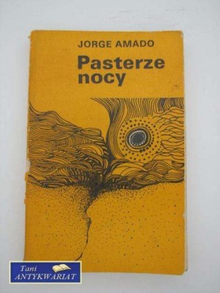 PASTERZE NOCY