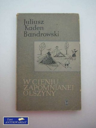 W CIENIU ZAPOMNIANEJ OLSZYNY