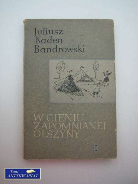 W CIENIU ZAPOMNIANEJ OLSZYNY