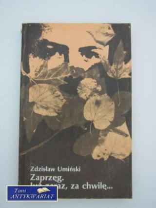 ZAPRZĘG JUZ ZARAZ, ZA CHWILĘ...