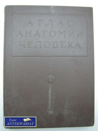 ANATOMIA