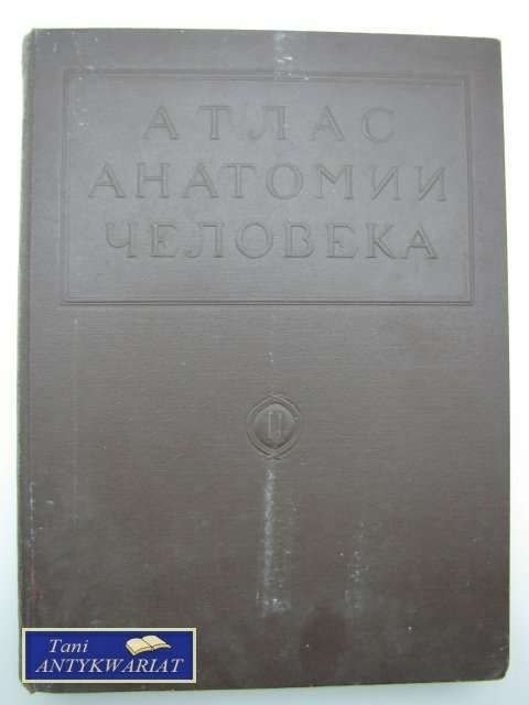 ANATOMIA